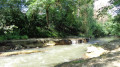 Les rives du Touch de Plaisance à Saint-Martin du Touch Les rives du Touch de Plaisance à Saint-Martin du Touch