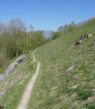 Le tour du Pouey Le tour du Pouey
