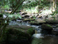 Le Trinquelin