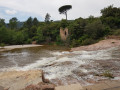 La Forêt Domaniale de la Colle du Rouët, le Trou de Gournié, l'Endre La Forêt Domaniale de la Colle du Rouët, le Trou de Gournié, l'Endre