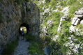 Gorges du Riou et sommet de Revuaire