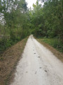 Le type de chemin sur lequel vous évoluerez