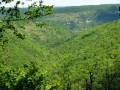 Le val de la Vergetolle