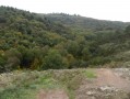 Brocéliande : une forêt légendaire