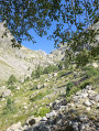 Vallon de la Gordolasque au départ du Pont du Countet