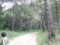 Le vallon de Maurel