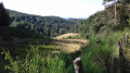 le vallon des sources