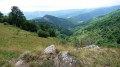 Le vallon partant de Rimbach