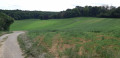 Le vallon