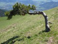 Le vent Le vent