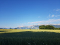 Le vercors en été