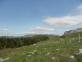 La réserve naturelle du Vercors en toile de fond...