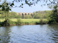 Dans le bocage normand autour de Clécy