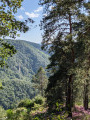 le viaduc vu du "Jardin de Firmin"