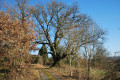 Chemin des coteaux de Bellegarde à Masseube