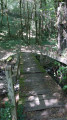 Le vieux pont de bois