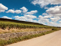 Le vignoble de la Côte de Beaune