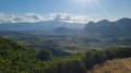 Le vignoble de Patrimonio