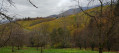 Le vignoble de Sasbachwalden en automne