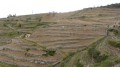 Le vignoble sur les coteaux de l'Hermitage