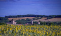 Le village de Bazian