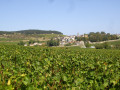 Le Village de Monthelie