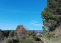 Le village de Sallèles-Cabardès