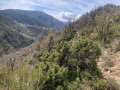 Le village de Thiéry depuis la crête des Charbonniers