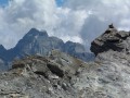 Le Viso vu du Pic de Caramantran