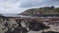 Lee Bay at low tide