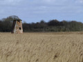 Leiston to Westwood Marsh