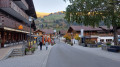 Lenk