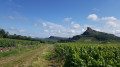 Boucle dans les hauts du Mâconnais au départ de Chasselas