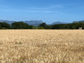 Autour de Mastaize