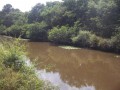 Les abords du canal Boudigau à Labenne