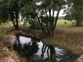 Près du château fort de La Motte Josserand