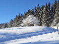 Les Allières