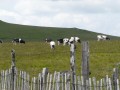Les Alpages du Puy May