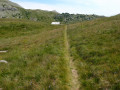 Les alpages sous le refuge de La Cayolle