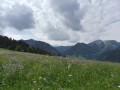 Les alpages Les alpages