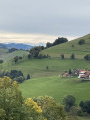 Hinauf zum Knöpflesbrunnen
