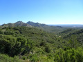 Les Alpilles à Aureille