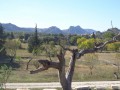 Les Alpilles Les Alpilles