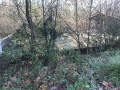 Les anciens bassins de pisciculture
