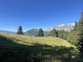 Les chalets du Chapet à partir du Plan