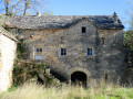 Les Avens