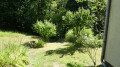 Écrin de verdure