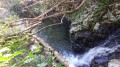 Les bassins