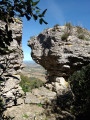Les bénitiers