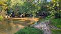 Les berges du Ciron Les berges du Ciron